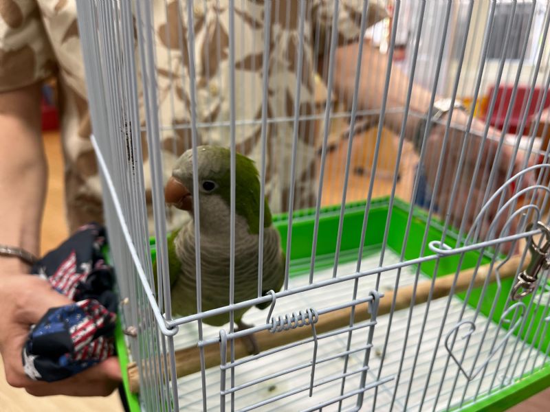 photo