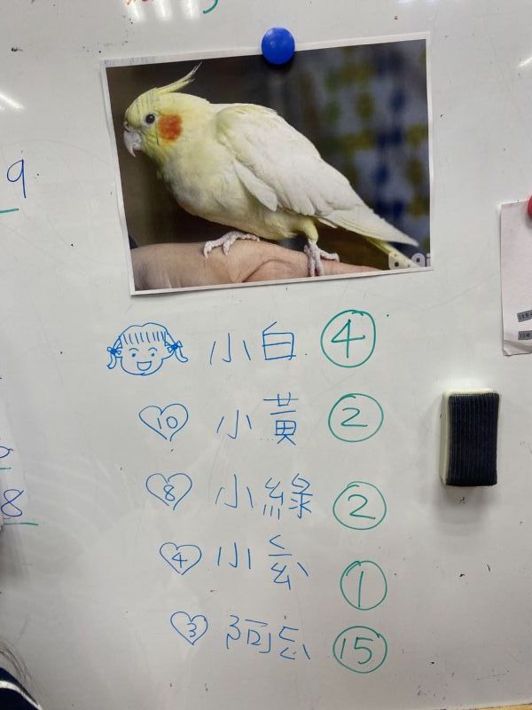 photo