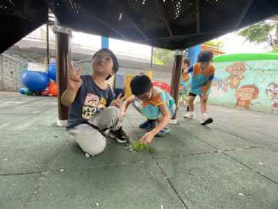 photo