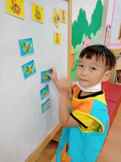 photo