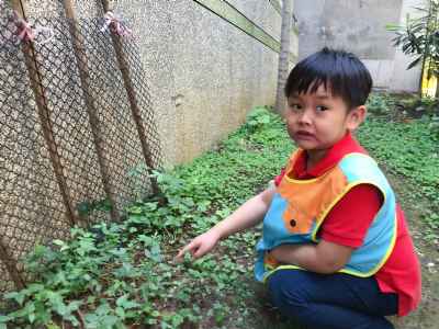 photo